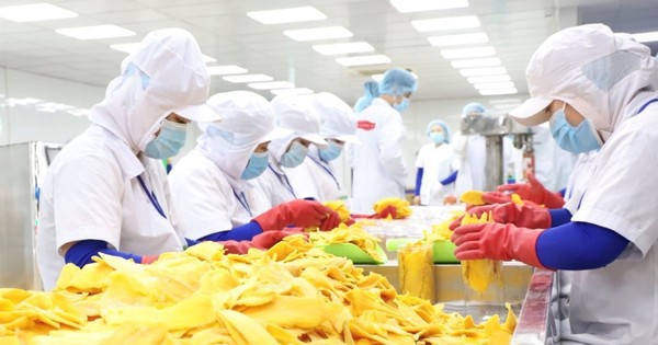 Vật vã trong ‘nắng hạn’ lâu năm, doanh nghiệp Việt vừa gặp được ‘mưa rào'