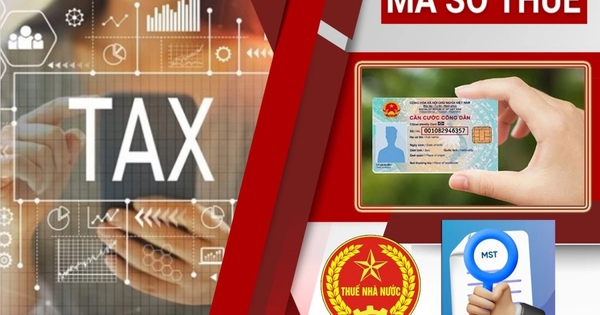 Sử dụng số định danh cá nhân thay cho mã số thuế từ 01/7/2025: Lưu ý với người nộp thuế
