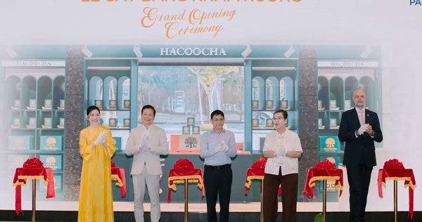 Trà Hà Giang – Từ đỉnh núi cao đến tầm cao thế giới