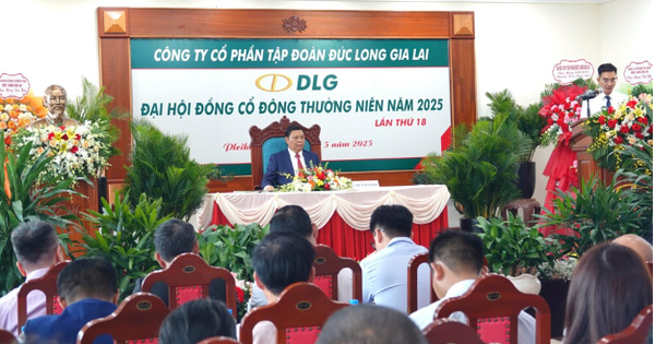 DLG tiếp tục tái cấu trúc toàn diện, đẩy mạnh đầu tư để bứt phá