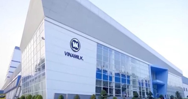 Thị trường nước ngoài lần đầu tiên đóng góp trên 20% tổng doanh thu của Vinamilk