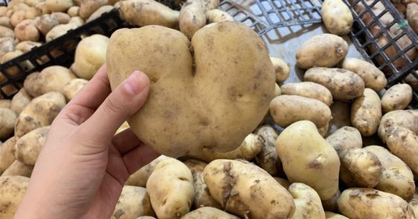 Ra chợ nhớ 5 nguyên tắc “cũ nhưng vàng” này để chọn được khoai tây ngon, bở, giàu dinh dưỡng
