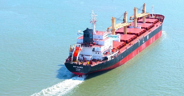 PVTrans sẽ phát hành gần 114 triệu cổ phiếu trả cổ tức