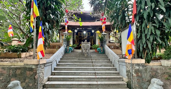 Hà Nội: Cưỡng chế thu hồi đất của 61 hộ để làm dự án Tu bổ, tôn tạo di tích Gò Đống Thây