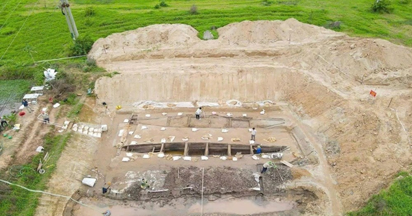 Cải tạo đất để nuôi cá, người dân Việt Nam phát hiện vật lạ dài 17m, chuyên gia xác nhận báu vật chưa từng thấy trên thế giới