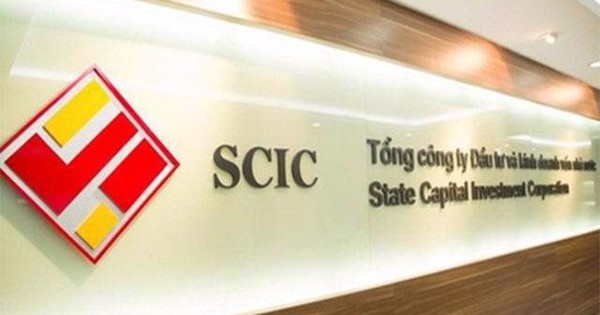 SCIC lần thứ 3 "vỡ kế hoạch" thoái vốn Domesco