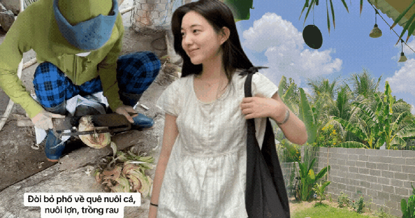 "Cuốc đất 5 phút thở không ra hơi, cày ruộng nửa ngày phải đi truyền nước": Ở phố mất job - ở quê mất sức