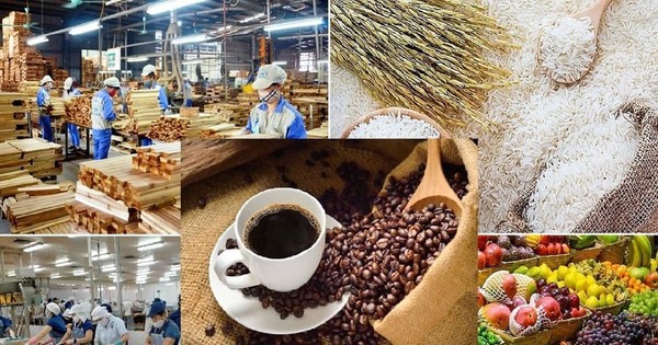Lộ diện 'ngôi sao' sáng nhất của nông sản Việt Nam