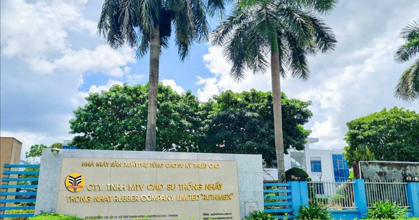 Một công ty cao su báo lãi quý I/2025 tăng 95% nhờ bán chuối