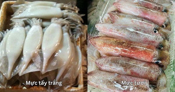 5 loại hải sản dễ "tắm" hóa chất tẩy trắng, đi chợ mà ngố là "dính chưởng" ngay!