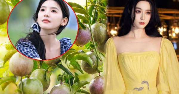 Nước ép "chống nắng" của Phạm Băng Băng, Chương Nhược Nam: Giá rẻ bèo ở Việt Nam, tận dụng có thể làm trắng da, xóa nếp nhăn thần thánh