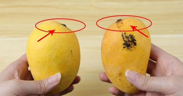 Dân buôn xoài có 4 mẹo chọn xoài chuẩn, chín ngọt tự nhiên, quả nào thịt cũng dày mà hạt siêu lép