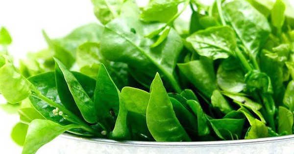 "4 không" khi ăn rau mồng tơi, biết mà tránh kẻo hối hận