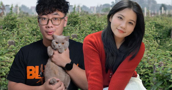 Học sinh chuyên Toán đi bán tạp hóa, cử nhân nuôi lợn: Đến lúc Gen Z làm tất cả cũng chỉ vì… mình