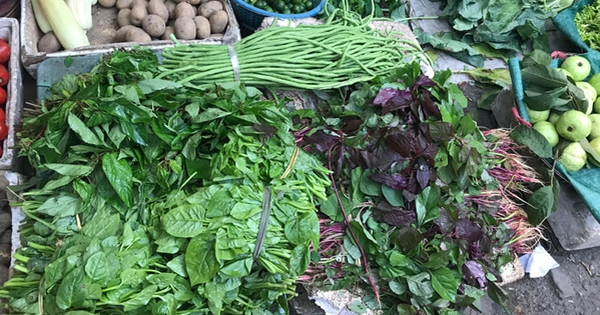 Việt Nam có loại “rau trường thọ” chỉ vài nghìn cả bó, cực giàu chất sắt, canxi và protein