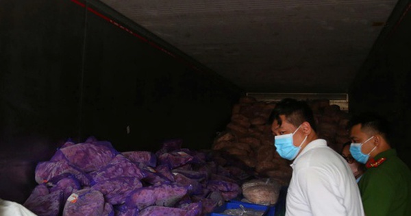 Giật mình hình ảnh hơn 11 tấn chân gà, thịt heo đông lạnh không rõ nguồn gốc