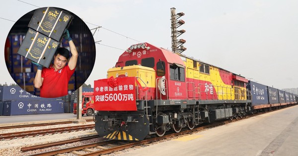 Dự án "Vành đai, Con đường" Trung Quốc - Lào thúc đẩy xuất khẩu “trái cây vua”: Bên thứ ba hưởng lợi lớn