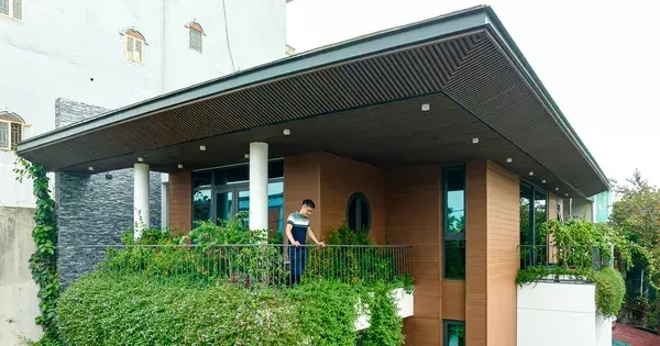 Cách đưa những 'khu vườn' len lỏi khắp nhà phố 3 tầng