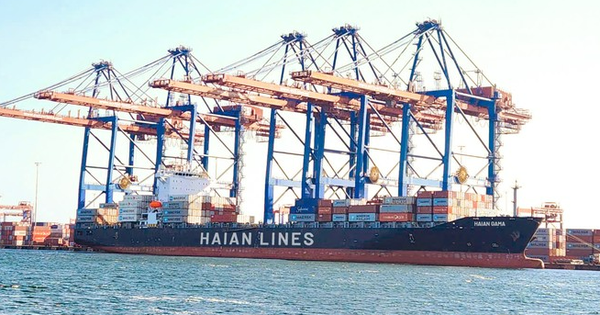 Vận tải và Xếp dỡ Hải An đặt mục tiêu doanh thu 4.556 tỷ đồng trong năm 2025