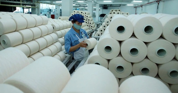 Lãnh đạo Sợi Thế Kỷ bán toàn bộ gần 6,9 triệu cổ phiếu STK đang nắm giữ