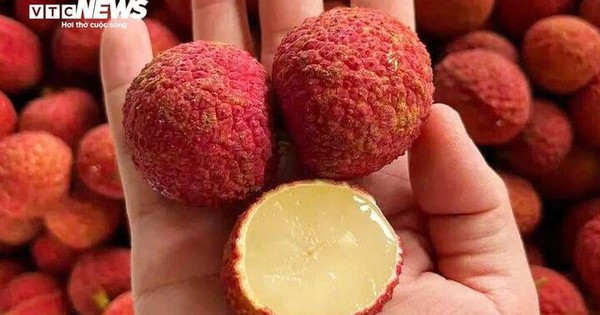 Vải không hạt Trung Quốc đổ bộ chợ Việt, giá gần 1 triệu đồng/kg
