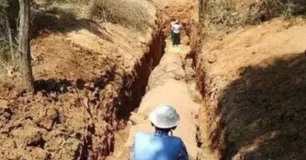 Đang làm ruộng, lão nông bất ngờ phát hiện khúc gỗ trị giá 600 tỷ đồng