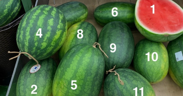 Trong 10 quả dưa hấu, đâu là quả ngọt, mọng nước nhất? Chat GPT đưa ra câu trả lời bất ngờ