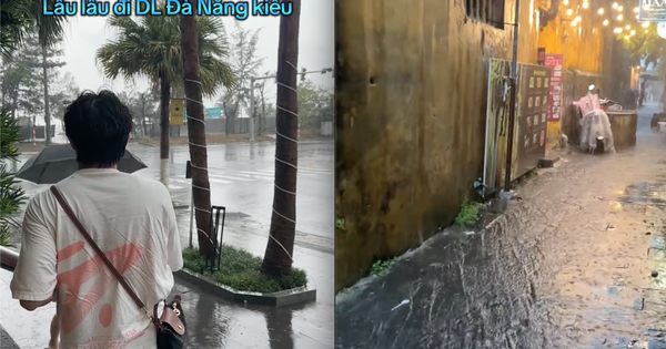"Đánh cược" đi du lịch Đà Nẵng mùa này, và đây là cách mà các du khách... thua đậm!