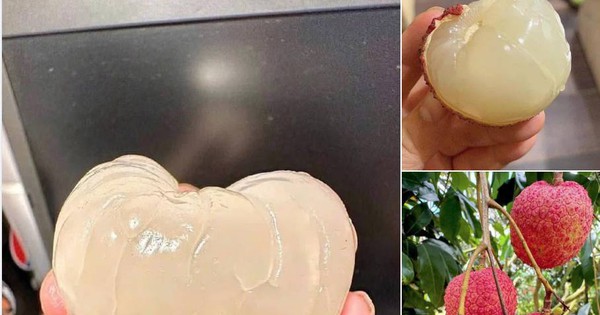 Loạn giá vải trứng Hưng Yên: Nơi 240.000 đồng/kg, nơi chỉ 45.000 đồng/kg, chuyện gì đây?