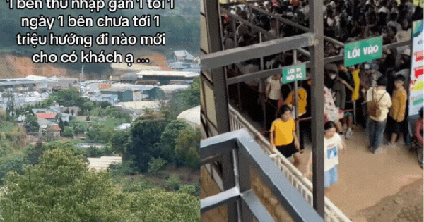 Nỗi niềm của chủ quán cafe thú cưng ở Đà Lạt: Làm mô hình giống hệt, "bên thu nhập gần 1 tỷ/ngày, mình chưa đến 1 triệu"?