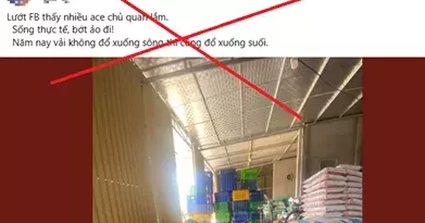 Xử phạt người tung tin vải thiều Bắc Giang ngâm hóa chất