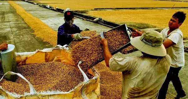 Nỗi lo siêu thị, chợ mạng