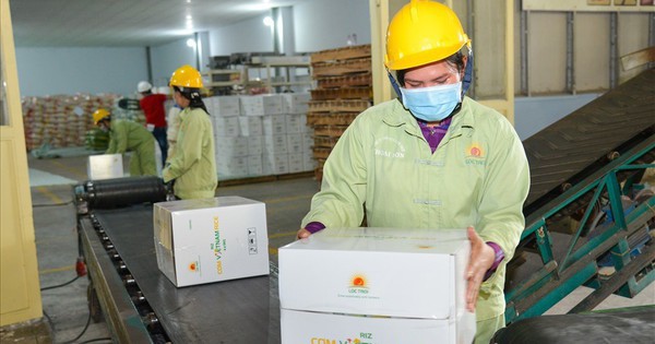 Lộc Trời dự kiến lỗ hơn 500 tỷ đồng trong năm 2025, hủy kế hoạch trả cổ tức 2023
