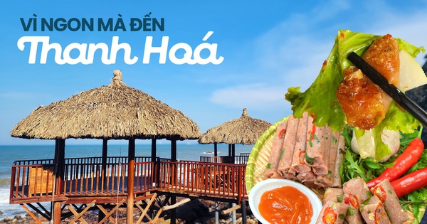 Vùng biển xứ Thanh không chỉ khiến người ta "say sóng" mà còn "gây nghiện" bởi những món ngon chẳng nơi nào giống được!