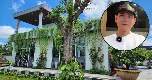 Đại gia showbiz đẻ 5 con, biệt thự trải từ Việt Nam sang Mỹ: “Người đó tát thẳng vào mặt tôi”