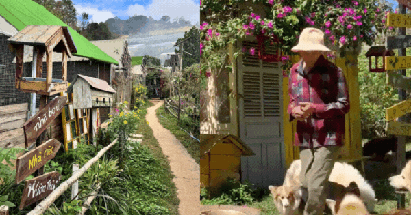 Chủ Thung Lũng Gâu Đà Lạt: Đầu tư nửa tỷ, nợ thêm 300 triệu phải đi phụ hồ để bù lỗ vẫn cố bám trụ vì đâu?