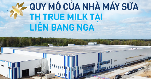 Những con số làm nên quy mô của nhà máy sữa hàng đầu tại Nga của TH true MILK