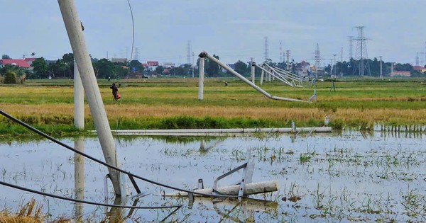 Cột điện đường dây 22 kV gãy đổ như "ngả rạ" sau mưa dông ở Thanh Hóa