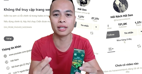 Toàn cảnh "hệ sinh thái” Hải Sen - cỗ máy in tiền trước khi sụp đổ