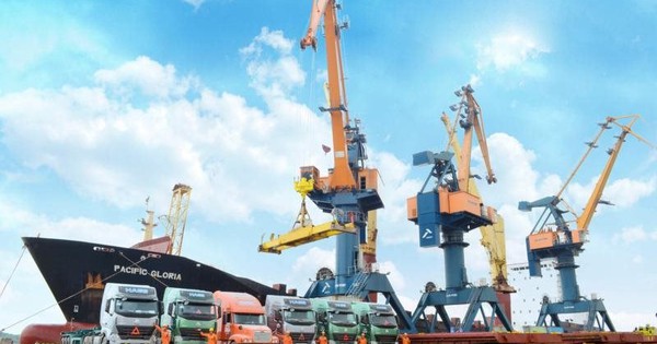 Chủ tịch và Tổng Giám đốc Viconship cùng ứng cử vào HĐQT Vận tải và xếp dỡ Hải An