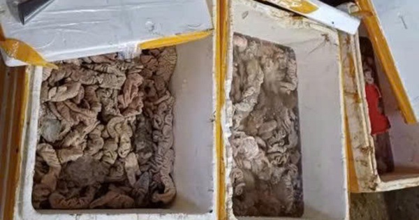 Phát hiện kho hàng tại Đà Nẵng chứa 3,5 tấn thịt, nội tạng bốc mùi đổi màu