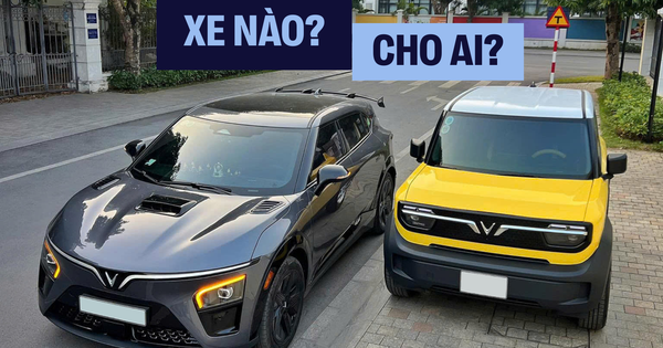 300 triệu, dưới 1 tỷ nên mua xe gì? Chuyên gia nhắc 2 mẫu VinFast này và nói: 'Không tin cứ tìm đến tôi'