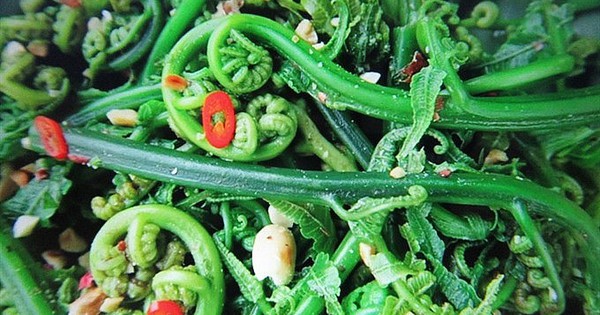 1 loại rau mọc dại ở Việt Nam nhưng được người Trung Quốc “quý như vàng”: Giá ngang thịt bò, bổ tựa nhân sâm nhưng ít người biết