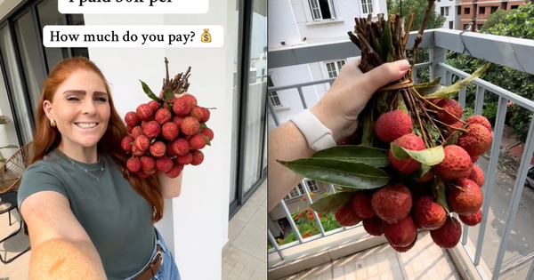 Bỏ 30.000 đồng/kg mua loại trái cây yêu thích ở Việt Nam, khách Tây khiến dân mạng bái phục vì "mát tay" chọn được giá hời