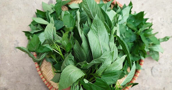 Việt Nam có loại rau nhiều sắt hơn cả thịt bò, Trung Quốc ví như "thuốc của người nghèo": Cực tốt cho tim