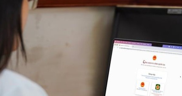 Thủ tướng yêu cầu đóng giao diện Cổng Dịch vụ công cấp tỉnh từ ngày 1/7