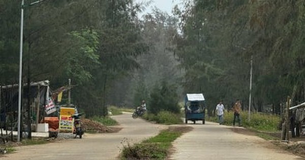 Tạm hoãn xuất cảnh 2 giám đốc 'rút ruột' công trình đường ven biển ở Quảng Ngãi