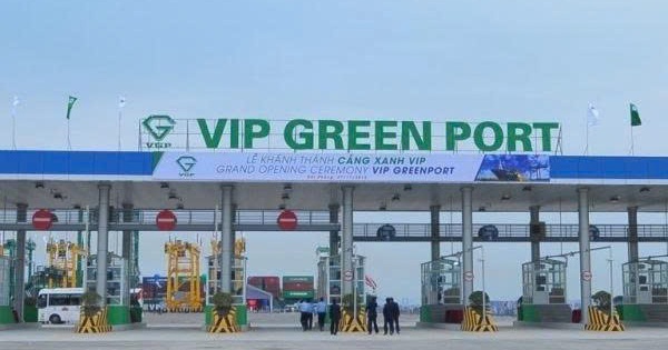 Viconship muốn ‘xả hàng’ hơn 6,3 triệu cổ phiếu Cảng Xanh Vip