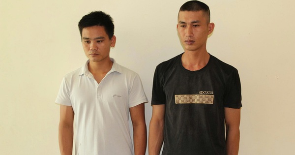 Bắt tạm giam Trần Đình Hào và Phạm Đình Thế