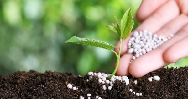 Giá urê tăng nóng do căng thẳng tại Trung Đông, doanh nghiệp phân bón của Việt Nam hưởng lợi?